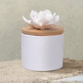 thumbnail image 4 of Diffuseur botanique ScentSationals - Lyle, 4 of 5