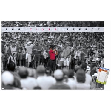 Tiger Woods - The Tiger Effect Wall Poster, 22.375" x 34"