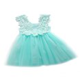 thumbnail image 1 of Robe de Fête Formelle pour Bébé Fille, Princesse, Dentelle, Tulle, Fleurs, Robe de Soirée Chic, 1 of 3