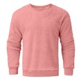 thumbnail image 4 of DPTALR Men Comfortable Solid Casual Tops Long Sleeve Round-Neck Sweatshirt, 4 of 4