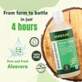 thumbnail image 4 of Vansaar Aloe Vera Juice For Glowing Skin & Healthy Hair, 100% Natural, Cold Pressed With Pulp, 1L 2.2lbs, 4 of 5