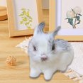 thumbnail image 1 of Imitez le Lapin Poilu pour un Cadeau à Collectionner Décorations de Pâques, 1 of 8