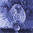 thumbnail image 1 of Ahgly Company Tapis d'Intérieur Lavables en Machine Bleu Ciel Transitionnel, 7' Carré, 1 of 7