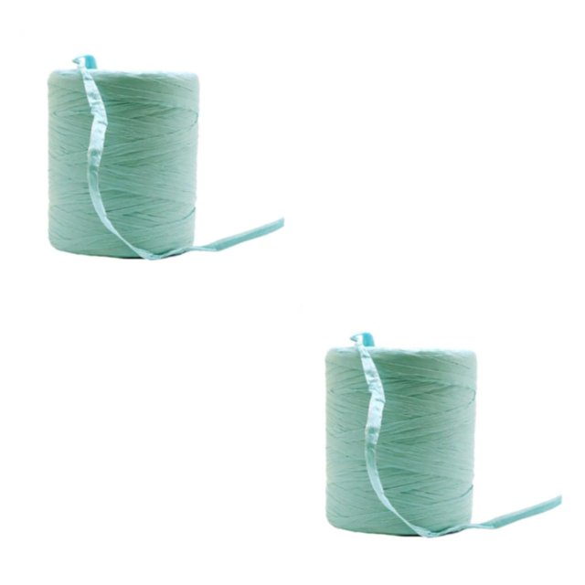 Decodeary Sturdy And Durable Raffia Rope Yarn For DIY Crafts Beautiful Colors Fiber Natural Paper Ribbon green 2Set