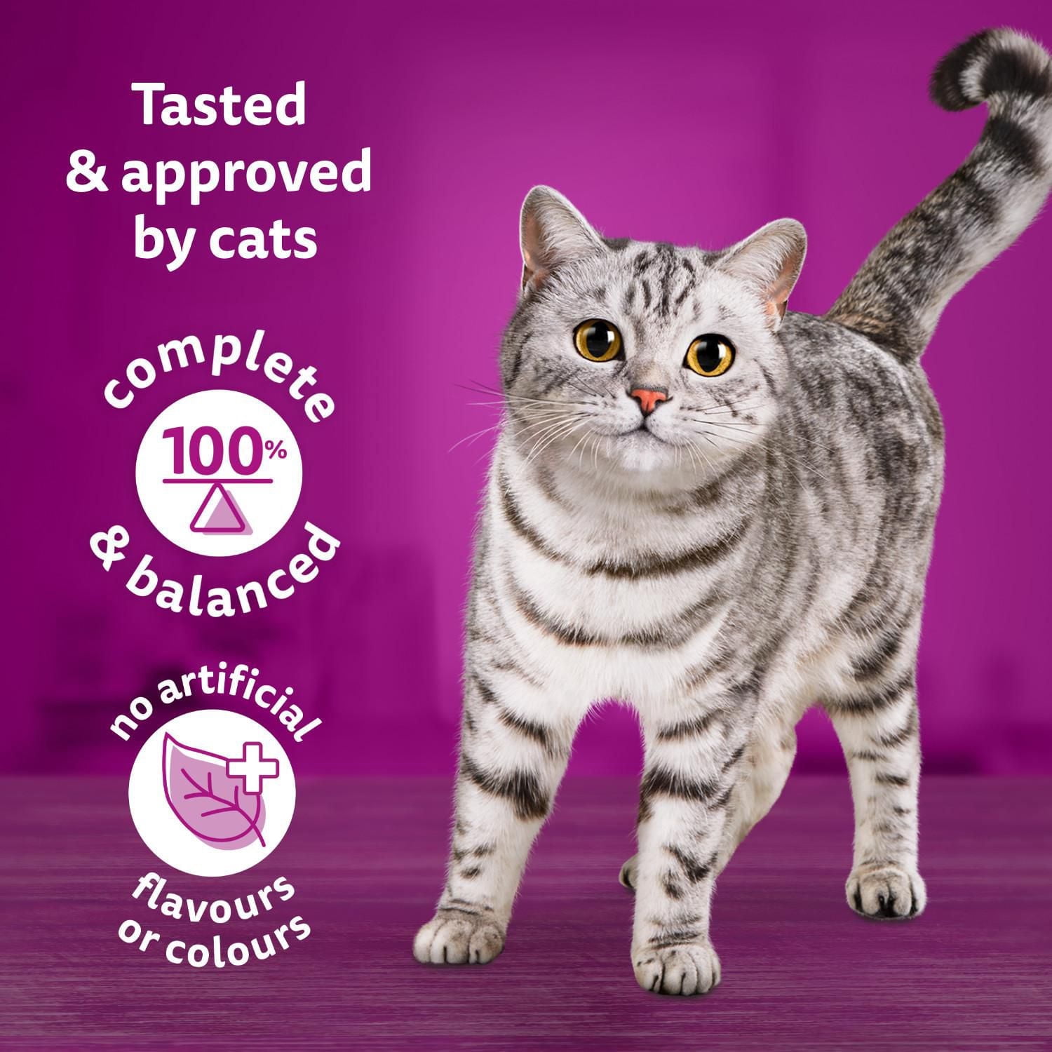 WHISKAS Nourriture Sèche pour Chats Adultes Sélections de Fruits de Mer, Saveur Naturelle de Saumon & de Crevettes 9.1kg