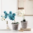 thumbnail image 4 of Orchid Flower Pot, 5 Sets Widely  Hole Design Repotting Orchid Pots  for Outdoor, 4 of 8
