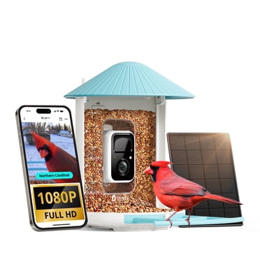 Netvue Birdfy Mangeoire pour Oiseaux avec Caméra, Caméra Intelligente pour Oiseaux avec Panneau Solaire, IA Identifiant Plus de 6000 Espèces, Enregistrement à Rappel Automatique, Cadeau Idéal