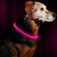 thumbnail image 2 of USB Rechargeable LED Dog Collar Glowing pet Dog Collar for Night Safety  Water Resistant Cuttable TPU Light Up Collars Fashion Light up Collar for Small Medium Large Dogs, 2 of 5