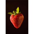 thumbnail image 1 of Posterazzi DPI1876799 A Strawberry Poster Print, 12 x 19, 1 of 2