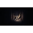 thumbnail image 2 of REANIMAL (PlayStation 5), 2 of 13