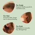 thumbnail image 4 of Nature Spell Rosemary Oil For Hair Growth Pre-Diluted Hair & Scalp Oil Nourishes Dry Damaged Hair For Women & Men 5.07 Fl Oz, 4 of 4