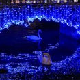 thumbnail image 3 of RYRDWP Waterproof LED String Lights With Multi-flash Party, 3 of 8