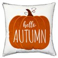 thumbnail image 1 of Way to Celebrate! Lot de 2 coussins décoratifs Hello Autumn, 1 of 5