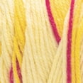 thumbnail image 3 of Red Heart® All In One Flower Power™ #4 Worsted (Medium) Acrylic Yarn, 8.8oz/250g 417 Yards, 3 of 5