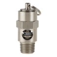 thumbnail image 1 of Safety Valve, Soft Seat, 1/4In, 200 PSI, SS, 1 of 3