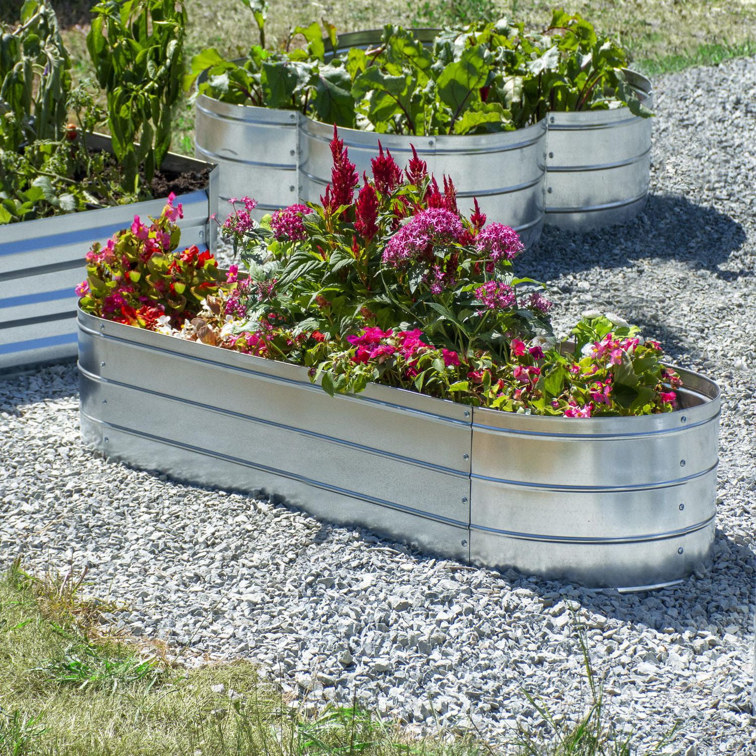 Grapevine Galvanized Steel Raised Garden Bed, Oval, 48IN, Silver