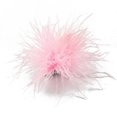 thumbnail image 1 of HLONK Feather Brooch Feathers Corsages Cloth Decorations Ostrich Feather Material, 1 of 21