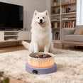 thumbnail image 3 of Large Outdoor Heated Pet Bowl with Thermostatic Control for Winter Water Dish Use, 3 of 4