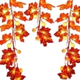 thumbnail image 2 of LED Light String Halloween Yard Decoration Lamp Thanksgiving Party Lighting  40 LED  6m  Flash  Leaf, 2 of 10