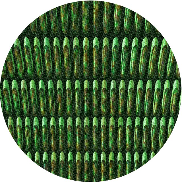 Ahgly Company Machine Washable Indoor Round Transitional Dark Lime Green Area Rugs, 7' Round
