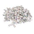 thumbnail image 1 of 1400 Pcs/ss 6 Gemmes Rondes Plates en Verre Cristal Dos en Résine Strass Gemmes Blanc AB Acrylique, 1 of 7