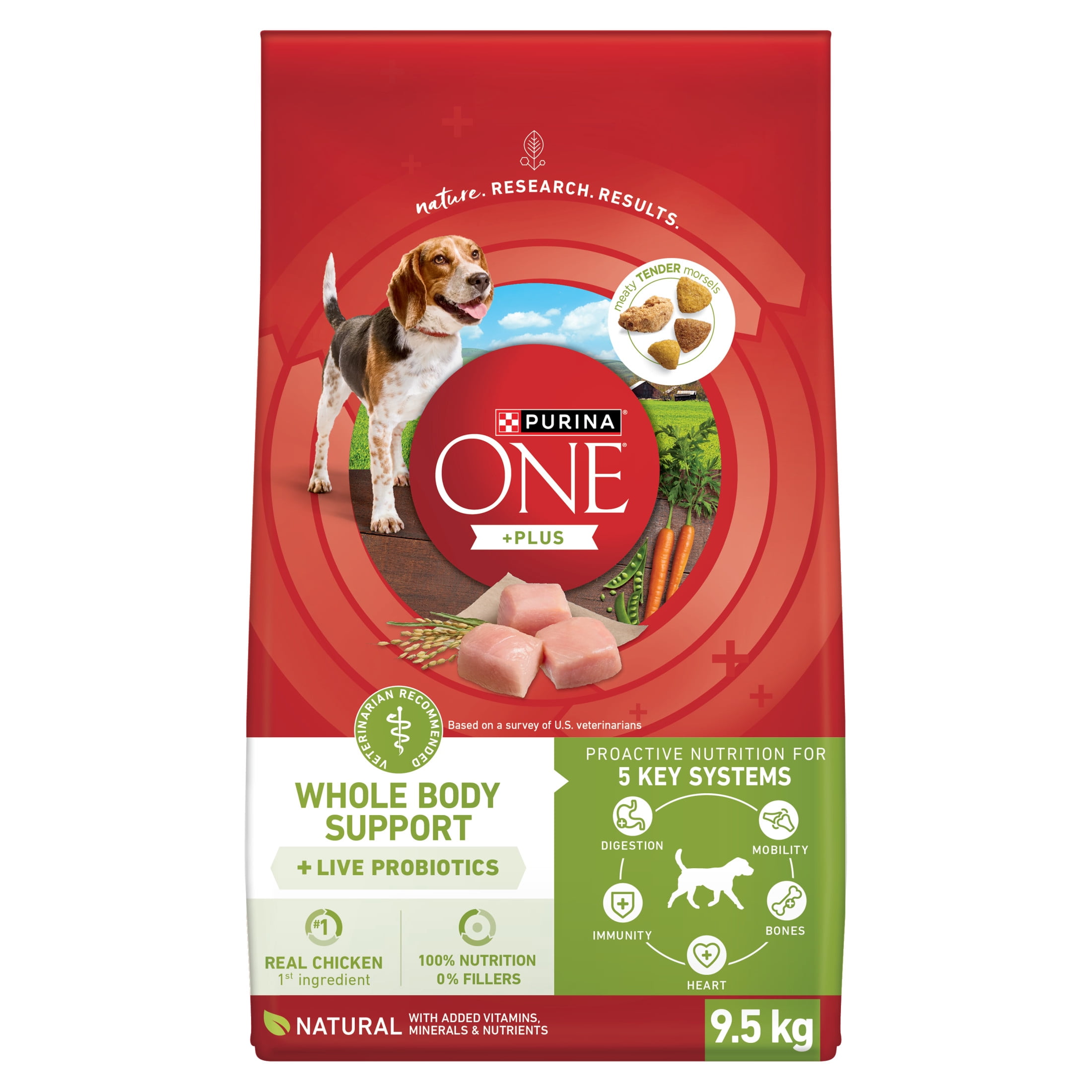 Purina ONE +Plus Soutien de Tout le Corps avec du Vrai Poulet, Nourriture Sèche pour Chiens 9.5 kg