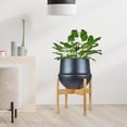 thumbnail image 4 of DOLITY Flower Pot Stand Planter Stand Modern Display Shelf Plant Shelf Organizer Flower XL, 4 of 9