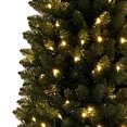 thumbnail image 3 of Sapin de Noël pré-éclairé, de 9 pieds de haut, Dustin Holiday Time – Vert, 3 of 5