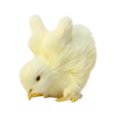 thumbnail image 2 of EGNMCR Easter Decorations For The Home Easter Decor Imitation Chicken Plush Toy Doll Children's Teaching Easter Model Chicken Model Decoration Easter Decorations, 2 of 5