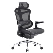 SIHOO Doro C300 Pro  Ergonomic  Office Chair with 6D Armrests, Dynamic Lumbar Support, Seat Depth Adjustment and Adjustable Backrest, Big and Tall Desk Chair for Home Office (Black)