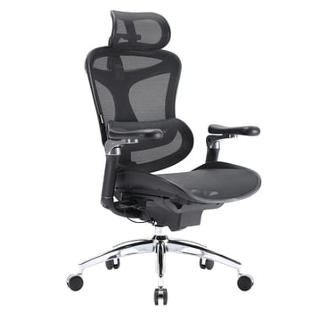 SIHOO Doro C300 Pro Ergonomic Office Chair with 6D Armrests, Dynamic Lumbar Support, Seat Depth Adjustment and Adjustable Backrest, Big and Tall Desk Chair for Home Office (Black)