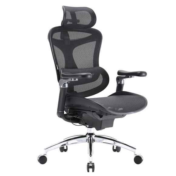 SIHOO Doro C300 Pro Chaise de Bureau Ergonomique avec Accoudoirs 6D, Soutien Lombaire Dynamique, Réglage de la Profondeur d'Assise et Dossier Ajustable, Chaise de Bureau Grande Taille pour Bureau à Domicile (Noir)