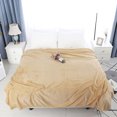 thumbnail image 1 of PiccoCasa 1 Pcs Home Warm Soft Microplush Fleece Solid Throw Blanket Camel Color 70" x 78", 1 of 10