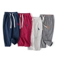 thumbnail image 4 of Pantalon de Jogging pour Tout-Petits Garçons 1 à 9 Ans, Bas Resserré, Pantalon Dinosaures pour Enfants, Automne, Doublé, Pantalon d'Entraînement avec Ceinture Ajustable, 4 of 8