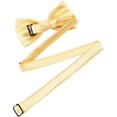 thumbnail image 3 of Nœuds Papillon en Soie pour Garçons, Formels, Unis, Longueur Ajustable, Jaune, 3 of 3