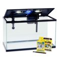 thumbnail image 4 of Glofish 10 Gallon Aquarium Fish Tank Kits, Includes LED Lighting and Décor, 4 of 5