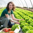 thumbnail image 4 of Transparent Plastic Greenhouse Poly Film Polytunnel Hot House Cover Various L, 4 of 10