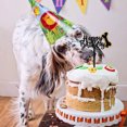 thumbnail image 3 of fastboy Happy Birthday Dog Pet Cake Plaque, 3 of 9