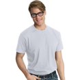 thumbnail image 1 of Hanes Nano-T Men`s T-shirt, 3X, Ice Gray, 1 of 2