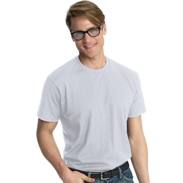 Hanes Nano-T Men`s T-shirt, 3X, Ice Gray