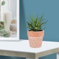thumbnail image 3 of 2pcs Outdoor Plant Pots Terracotta Flowerpot Desk Ornament for Home Office, 3 of 7