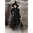 thumbnail image 2 of Deluxe Wicked Witch Costume, 2 of 5