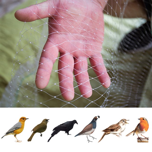 Anti-Bird Net Protection Fruit Tree Flower Cover Garden Net Protect Plants;Anti-Bird Net Protection Fruit Tree Flower Cover Garden Net Protect Plants