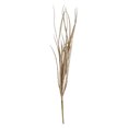 thumbnail image 1 of GT CHAMPAGNE GD PICK, 1 of 4