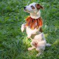 thumbnail image 3 of Collier Chaton Halloween Collier Adorable Collier Décoratif Chat Collier Ras du Cou Fournitures pour Animaux de Compagnie, 3 of 8