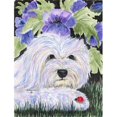thumbnail image 1 of Carolines Treasures SS8349CHF Coton de Tulear Drapeau Toile - Taille Maison, 1 of 1