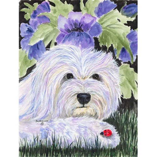 Carolines Treasures SS8349CHF Coton de Tulear Drapeau Toile - Taille Maison