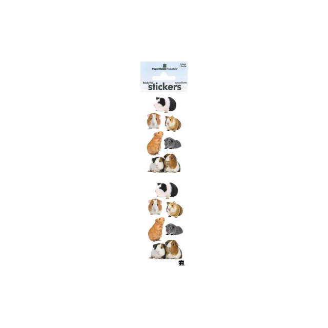 Paper House Productions ST-2237E Autocollants Photo Stickypix Réels 2 Pouces par 4 Pouces Cochons d'Inde (Lot de 6)