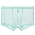 thumbnail image 1 of XZNGL Mens Mesh Comfortable Sweat-Absorbing Ultra-Thin Underwear with Flat Angle Pants, 1 of 2