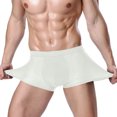 thumbnail image 1 of DPTALR Culottes en Soie Glacée Culottes Respirantes Boxeurs en Maille de Nylon, 1 of 4